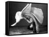 Dancer's Cartwheel, 1940-Science Source-Framed Stretched Canvas