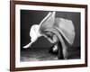 Dancer's Cartwheel, 1940-Science Source-Framed Giclee Print