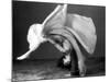 Dancer's Cartwheel, 1940-Science Source-Mounted Giclee Print