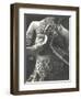 Dancer's Jewelry and Belt-null-Framed Photographic Print