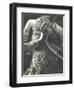 Dancer's Jewelry and Belt-null-Framed Photographic Print