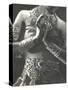 Dancer's Jewelry and Belt-null-Stretched Canvas