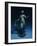 Dancer with a Veil-Pierre-Auguste Renoir-Framed Giclee Print