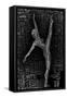 Dancer-Ben Heine-Framed Stretched Canvas