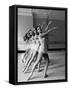 Dancers at George Balanchine's School of American Ballet During Rehearsal in Dance Posture-Alfred Eisenstaedt-Framed Stretched Canvas