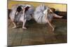 Dancers by Edgar Degas-Geoffrey Clements-Mounted Giclee Print