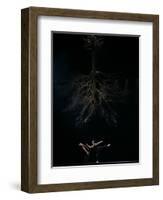 Dancers from the Dutch Dance Theatre Perform During Dress Rehearsal in the Bulgarian Capital Sofia-null-Framed Photographic Print
