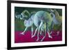 Dancers Green and Rose-John Asaro-Framed Giclee Print