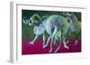 Dancers Green and Rose-John Asaro-Framed Giclee Print