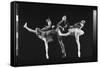 Dancers Jacques D'Amboise and Suki Schorr in NYC Ballet Production of "Stars and Stripes"-Gjon Mili-Framed Stretched Canvas