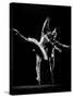 Dancers Margot Fonteyn and Rudolf Nureyev, Royal Ballet Company Production of La Bayadere-Gjon Mili-Stretched Canvas