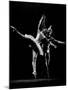 Dancers Margot Fonteyn and Rudolf Nureyev, Royal Ballet Company Production of La Bayadere-Gjon Mili-Mounted Premium Photographic Print