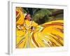 Dancers Performing in Costume, Costa Maya, Mexico-Bill Bachmann-Framed Photographic Print