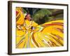 Dancers Performing in Costume, Costa Maya, Mexico-Bill Bachmann-Framed Photographic Print