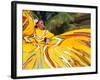 Dancers Performing in Costume, Costa Maya, Mexico-Bill Bachmann-Framed Photographic Print