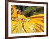 Dancers Performing in Costume, Costa Maya, Mexico-Bill Bachmann-Framed Photographic Print