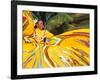 Dancers Performing in Costume, Costa Maya, Mexico-Bill Bachmann-Framed Photographic Print