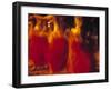 Dancers, Raratonga, Cook Islands-Peter Adams-Framed Photographic Print