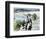 Dances with Wolves-null-Framed Photo