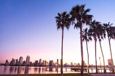 California Palm Trees and City of San Diego, California USA-Dancestrokes-Photographic Print