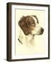 Danchin Brittany Spaniel-Danchin-Framed Art Print