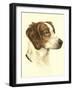 Danchin Brittany Spaniel-Danchin-Framed Art Print