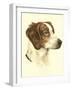 Danchin Brittany Spaniel-Danchin-Framed Art Print