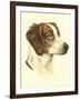 Danchin Brittany Spaniel-Danchin-Framed Art Print