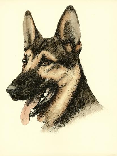Art Print, , large