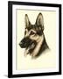 Danchin German Shepard-Danchin-Framed Art Print