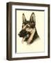 Danchin German Shepard-Danchin-Framed Art Print