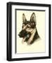 Danchin German Shepard-Danchin-Framed Art Print