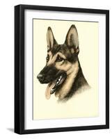 Danchin German Shepard-Danchin-Framed Art Print