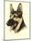 Danchin German Shepard-Danchin-Mounted Art Print