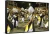 Dancing band at Salvador carnival, Bahia, Brazil, South America-Godong-Framed Stretched Canvas