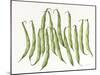 Dancing Beans-Deborah Kopka-Mounted Giclee Print