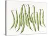 Dancing Beans-Deborah Kopka-Stretched Canvas