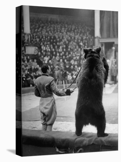 Dancing Bear at the Circus-Thomas D^ Mcavoy-Stretched Canvas