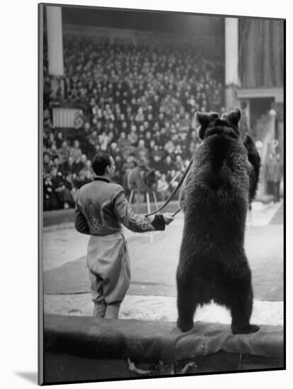 Dancing Bear at the Circus-Thomas D^ Mcavoy-Mounted Photographic Print