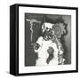 Dancing Bear-Thomas MacGregor-Framed Stretched Canvas