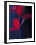 Dancing Blue and Red I-Rita Crane-Framed Photographic Print