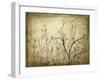 Dancing Branches I-Jennifer Goldberger-Framed Art Print