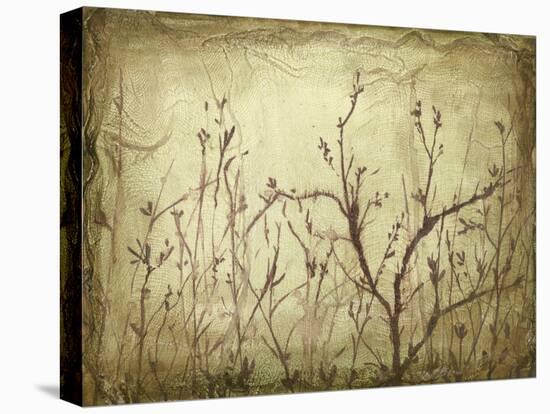 Dancing Branches I-Jennifer Goldberger-Stretched Canvas