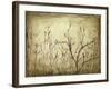 Dancing Branches I-Jennifer Goldberger-Framed Art Print