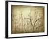 Dancing Branches I-Jennifer Goldberger-Framed Art Print