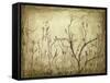 Dancing Branches I-Jennifer Goldberger-Framed Stretched Canvas