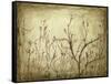 Dancing Branches I-Jennifer Goldberger-Framed Stretched Canvas