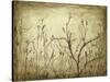 Dancing Branches I-Jennifer Goldberger-Stretched Canvas