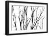 Dancing Branches II-Monika Burkhart-Framed Photographic Print