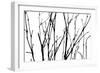 Dancing Branches II-Monika Burkhart-Framed Photographic Print